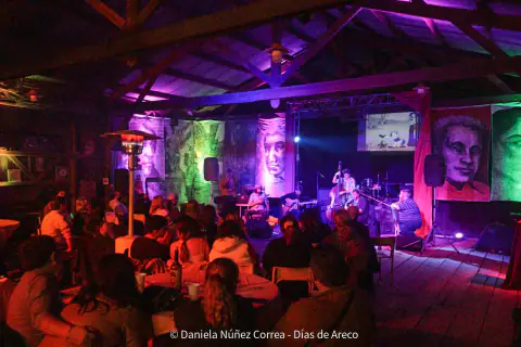 Escenario del Galpón Chamico con público sentado y luces violetas, verdes y cálidas